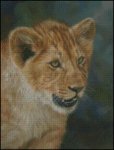 (image for) Lion Cub Portrait